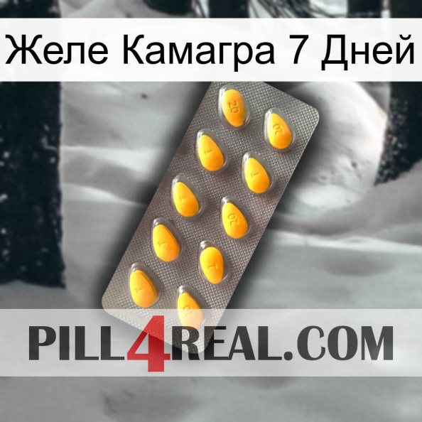 Желе Камагра 7 Дней cialis1.jpg